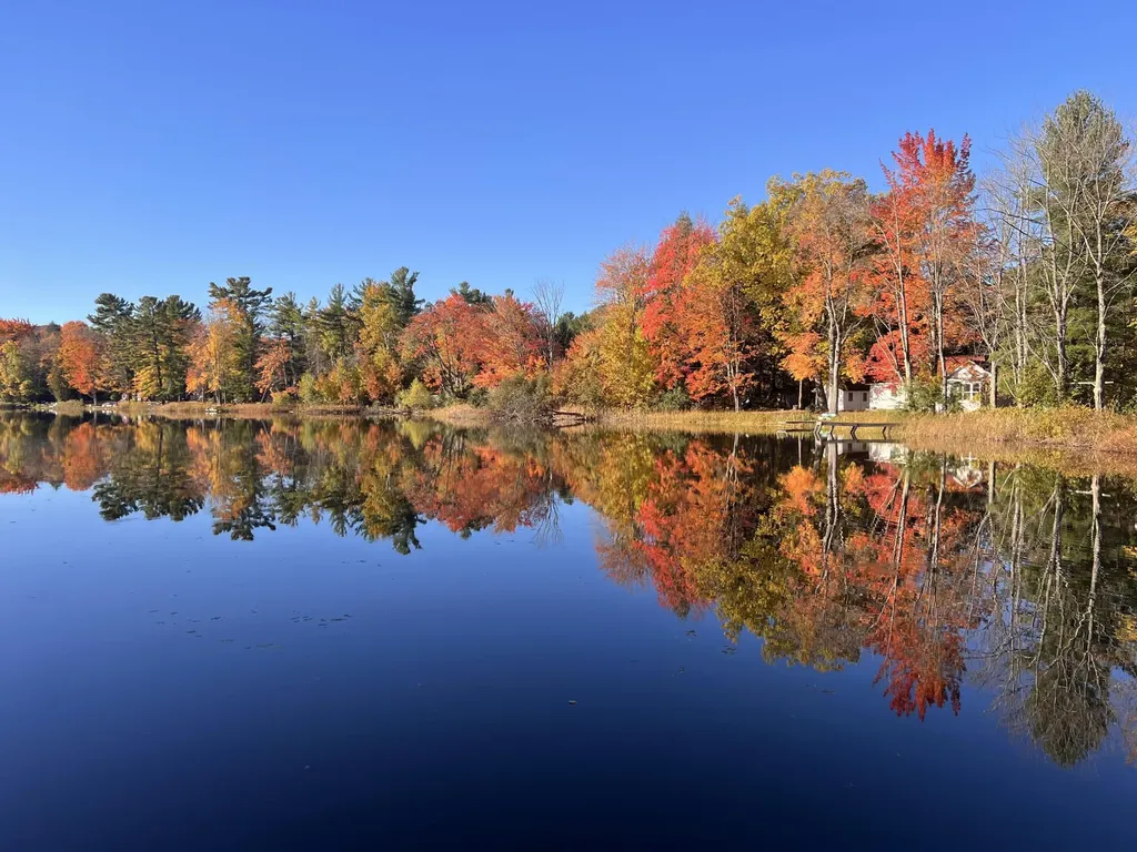 6816 Thayer Lake Drive Helena Township MI 49612