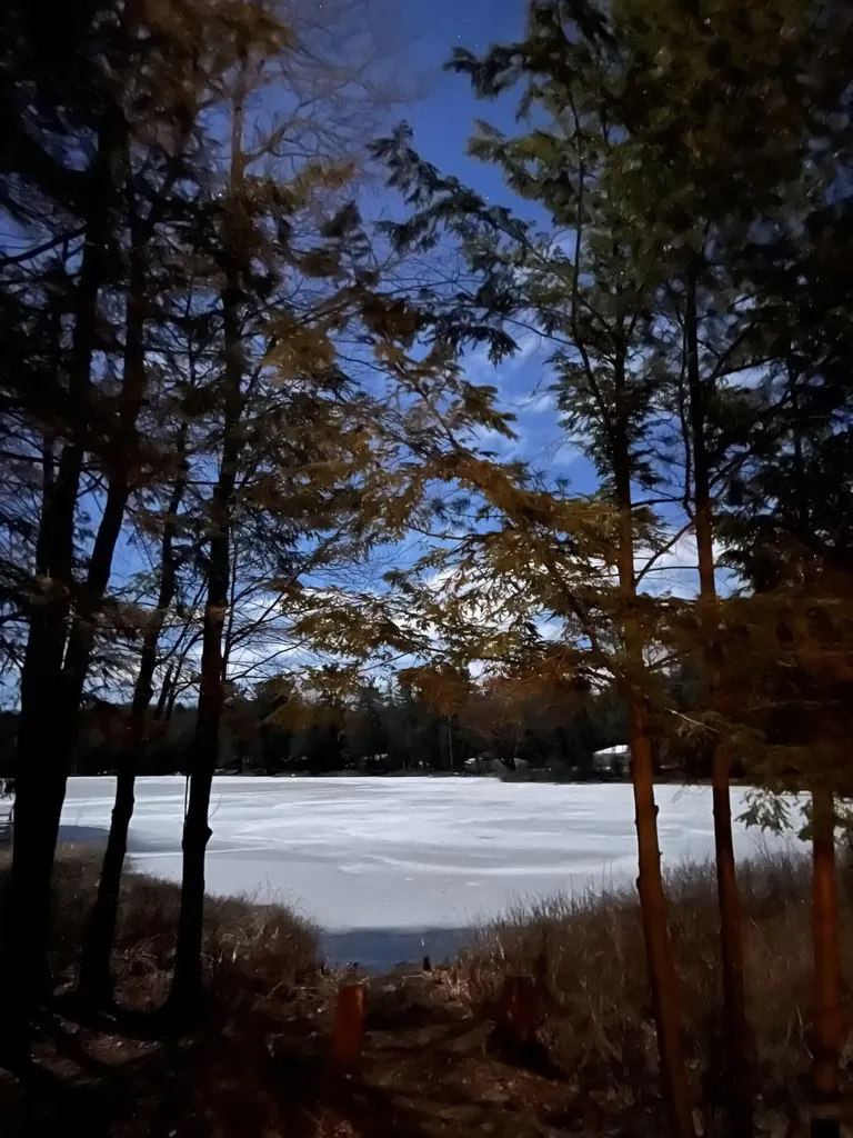 6816 Thayer Lake Drive Helena Township MI 49612
