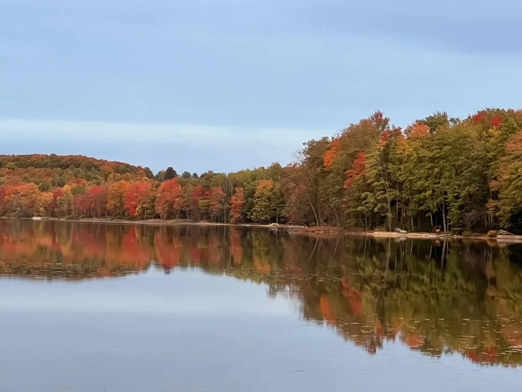 6816 Thayer Lake Drive Helena Township MI 49612