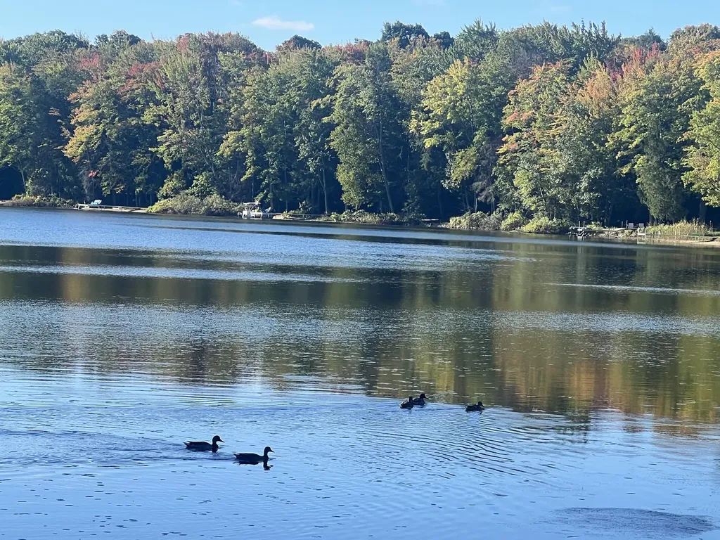 6816 Thayer Lake Drive Helena Township MI 49612