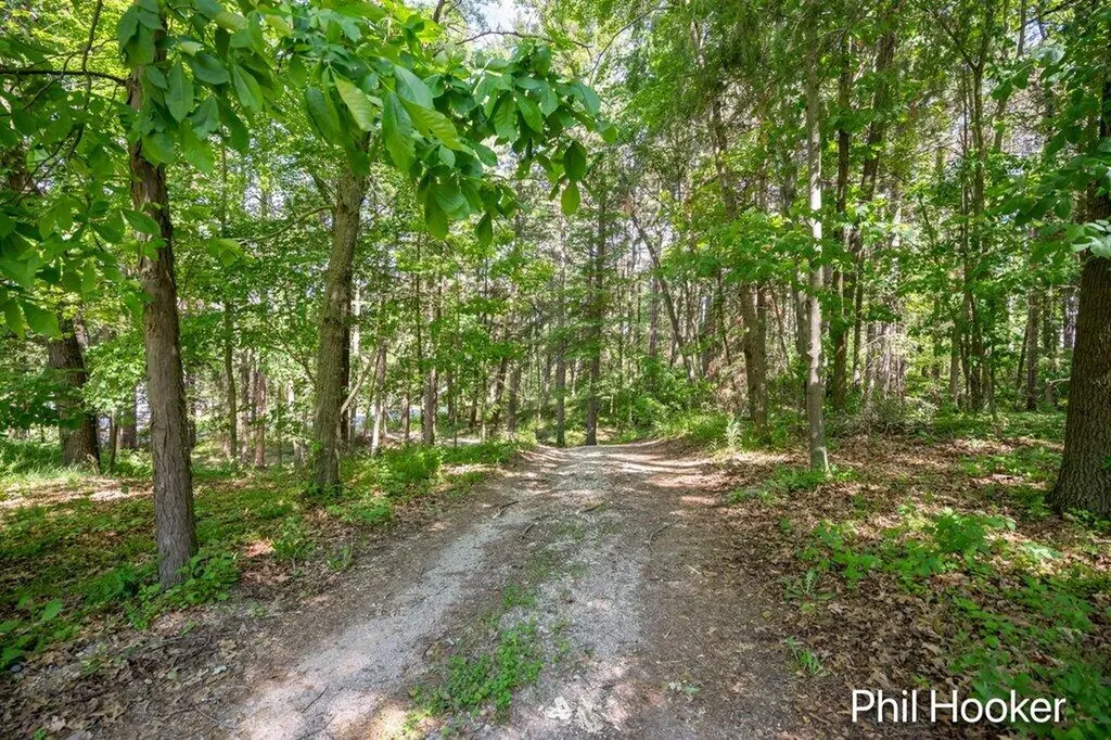 996 Prairie Creek Road Ionia Township MI 48846
