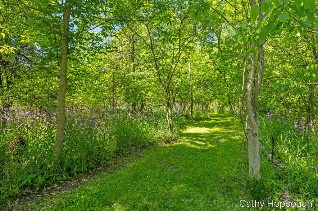470 Caroline Street Ionia Township MI 48846