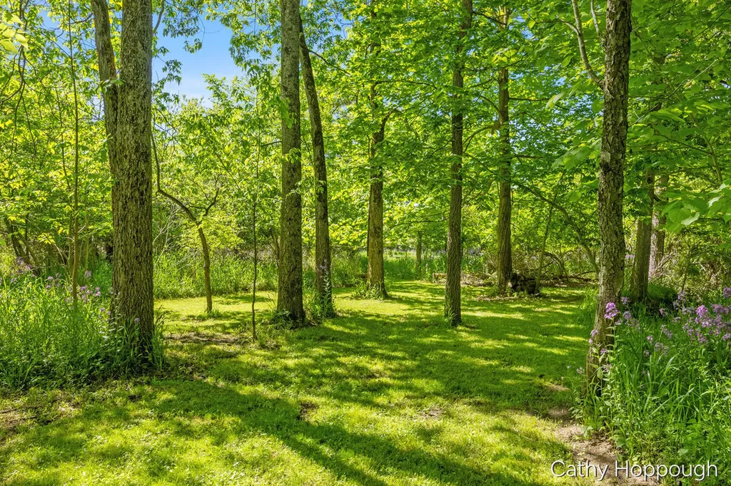 470 Caroline Street Ionia Township MI 48846