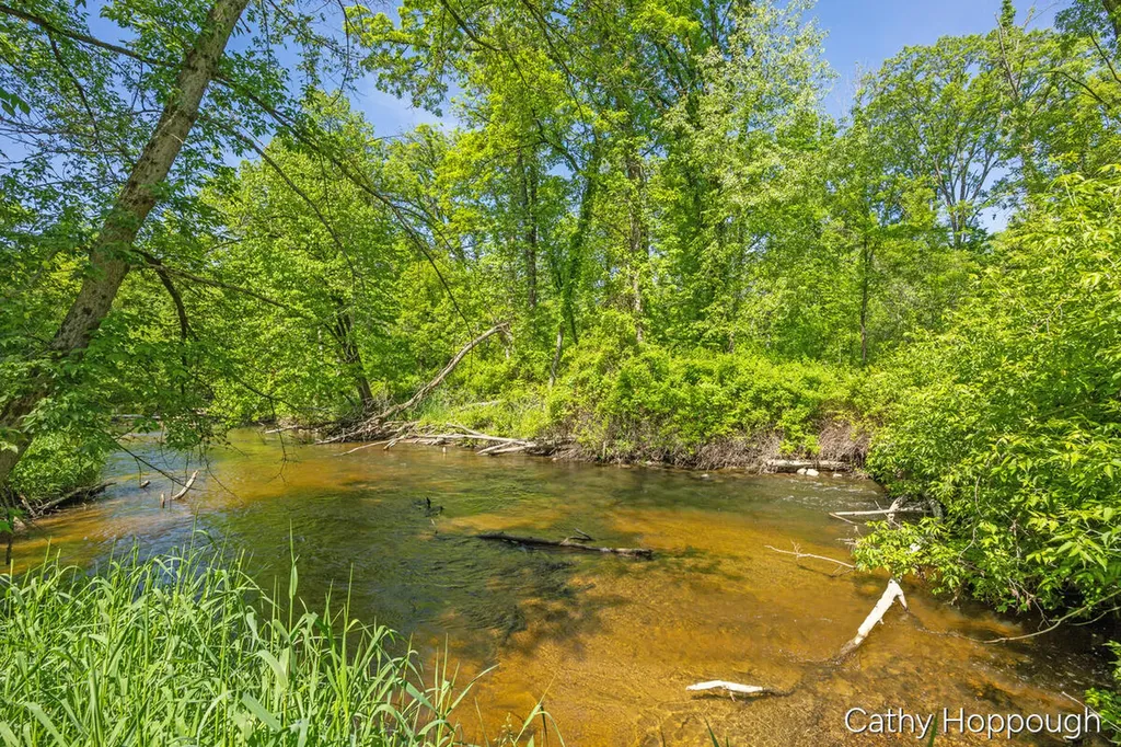 470 Caroline Street Ionia Township MI 48846