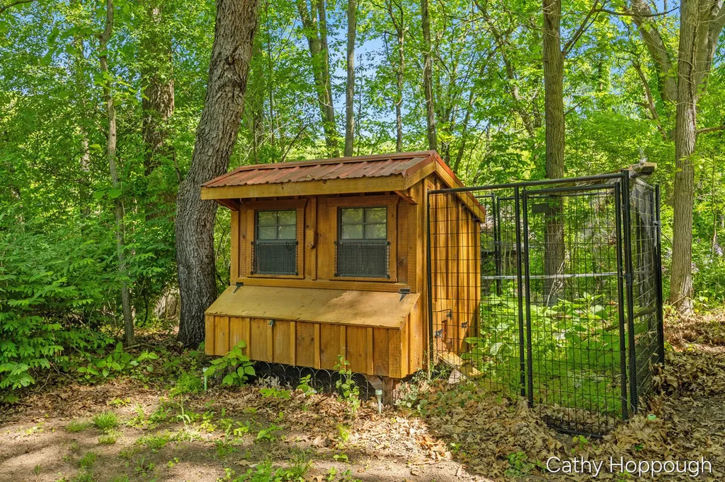 470 Caroline Street Ionia Township MI 48846