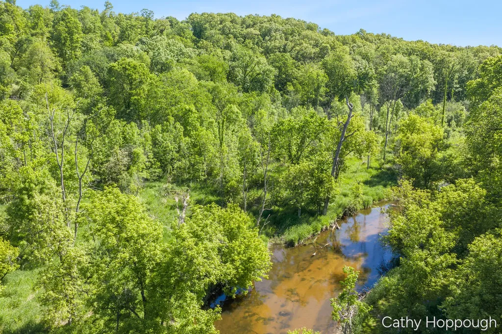 470 Caroline Street Ionia Township MI 48846