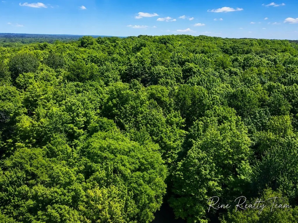 7035 Campbell Road SE Orange Township MI 49633