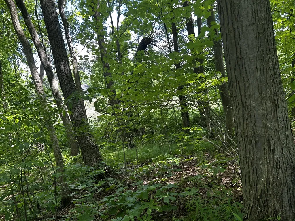 6670 Tower Lake Road NE Grattan Township MI 48809