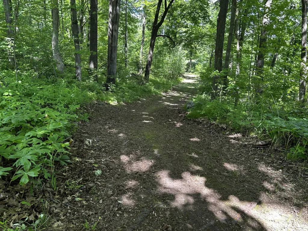 6670 Tower Lake Road NE Grattan Township MI 48809