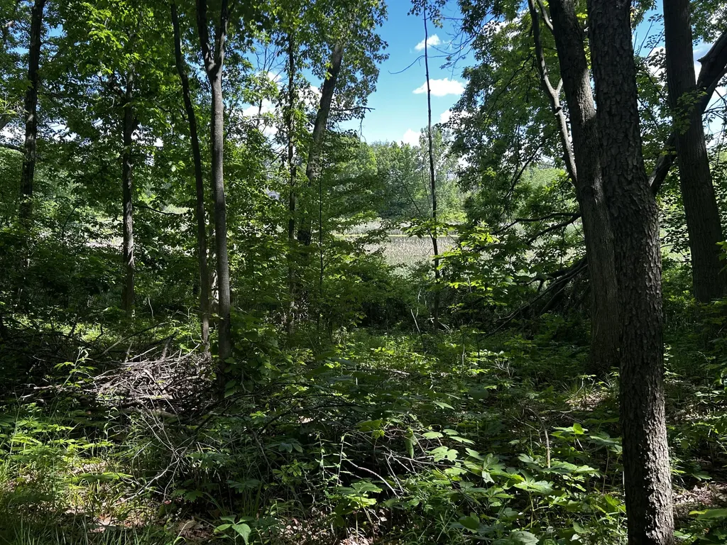 6670 Tower Lake Road NE Grattan Township MI 48809