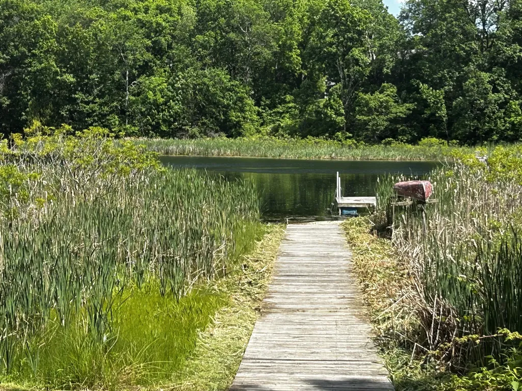 6670 Tower Lake Road NE Grattan Township MI 48809