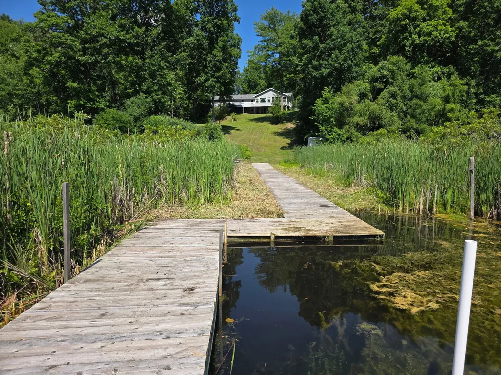 6670 Tower Lake Road NE Grattan Township MI 48809