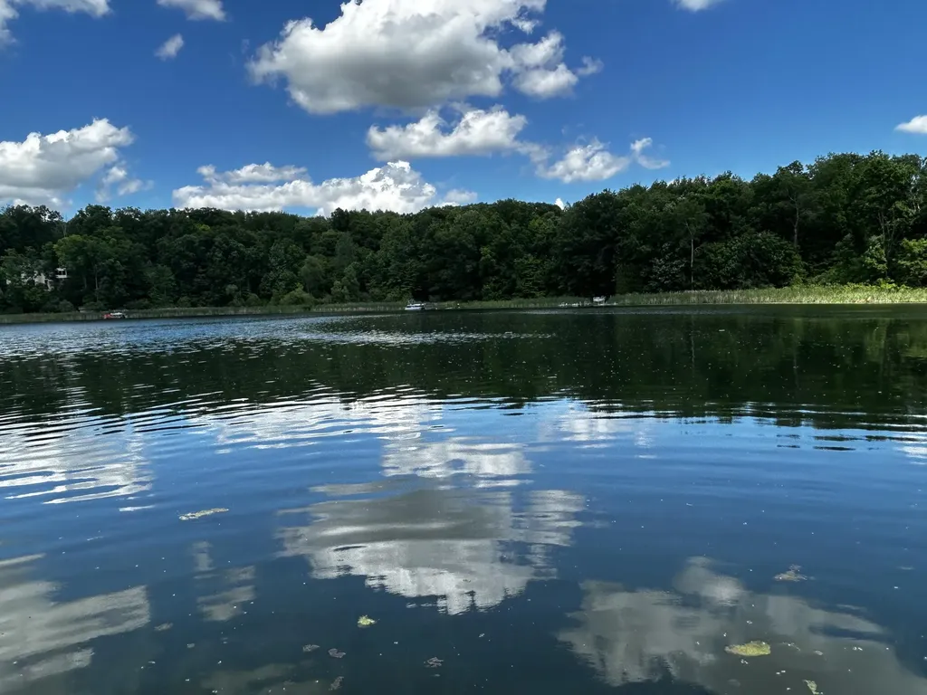 6670 Tower Lake Road NE Grattan Township MI 48809