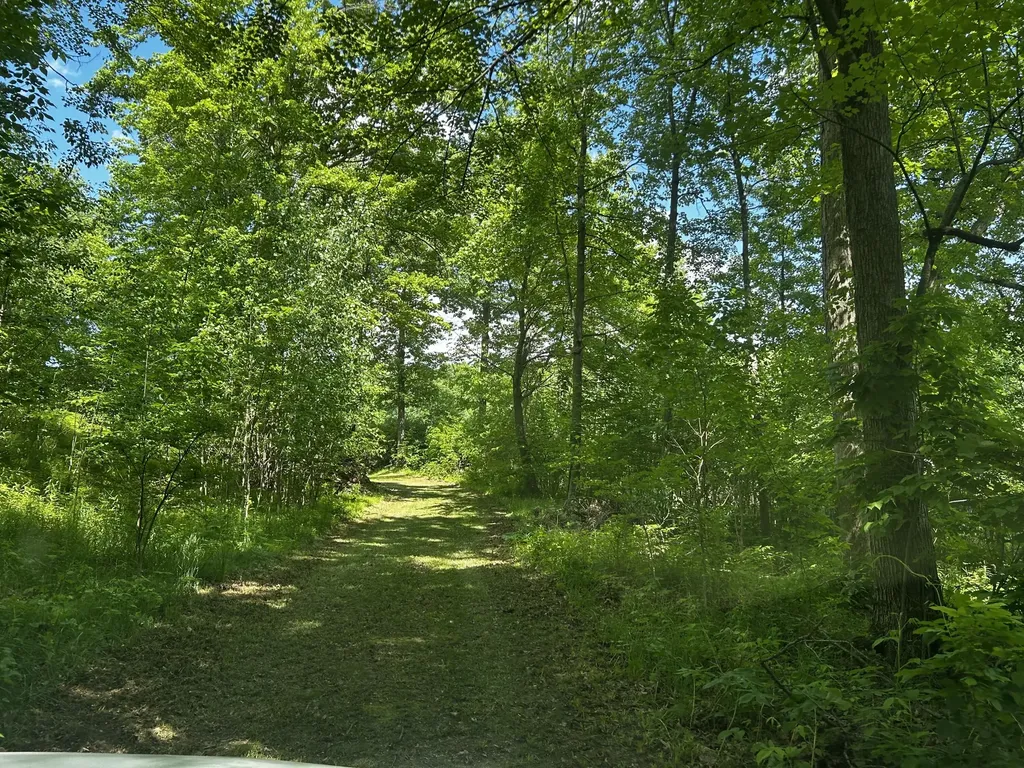 6670 Tower Lake Road NE Grattan Township MI 48809