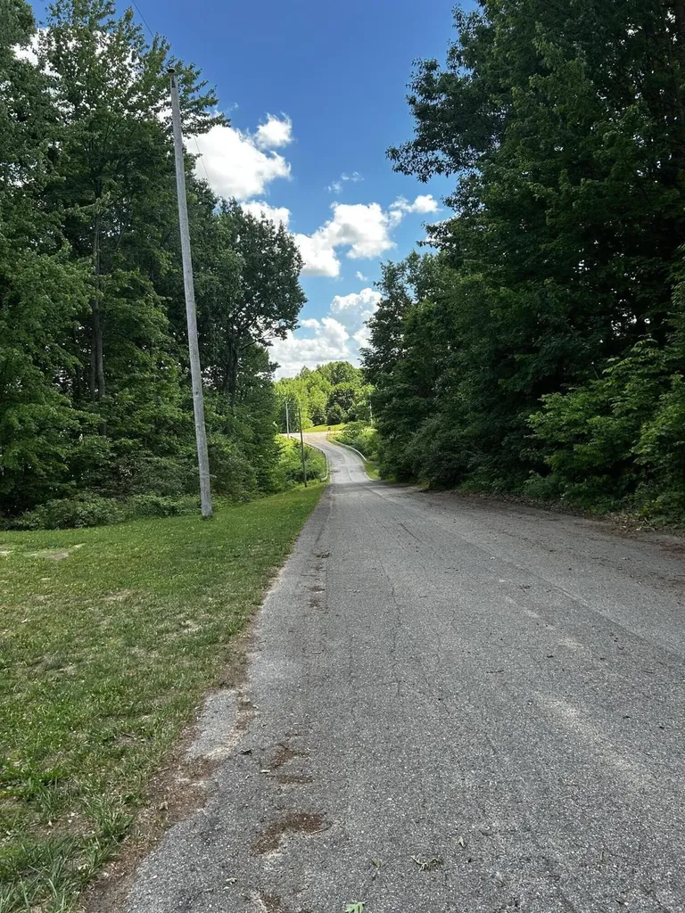 6670 Tower Lake Road NE Grattan Township MI 48809