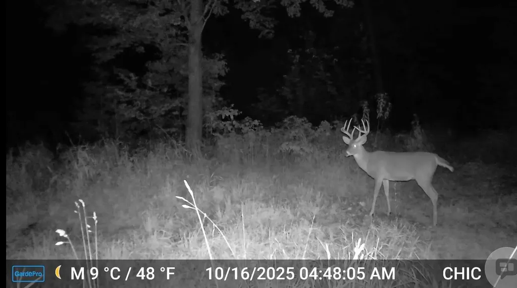 13324 Hickory Road Crockery Township MI 49415