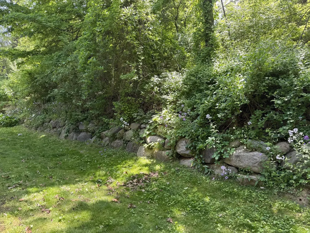 8507 Courtland Drive NE Rockford City MI 49341
