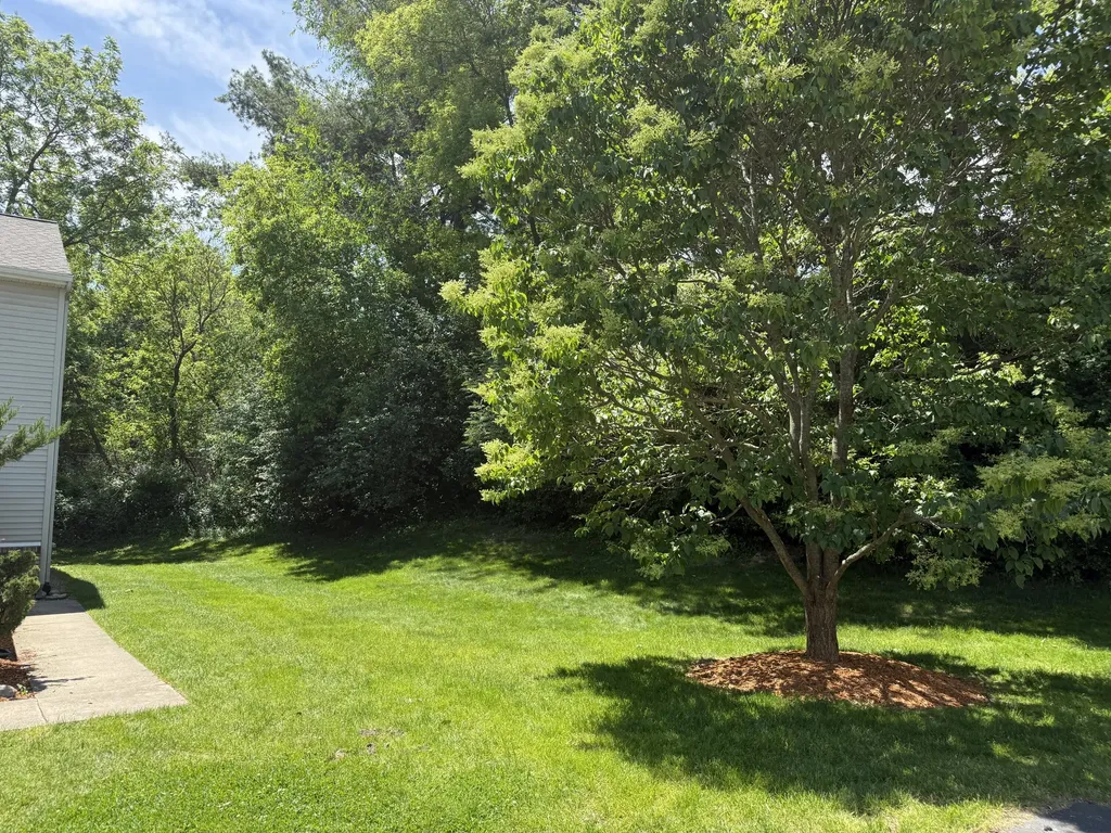 8507 Courtland Drive NE Rockford City MI 49341