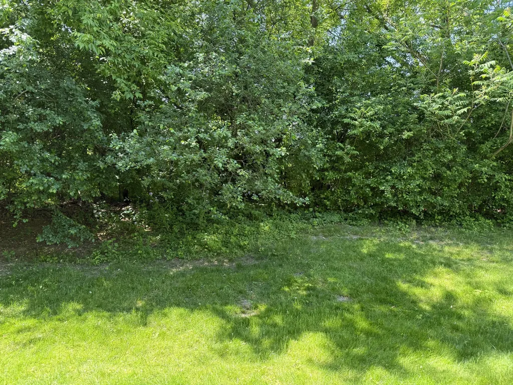 8507 Courtland Drive NE Rockford City MI 49341