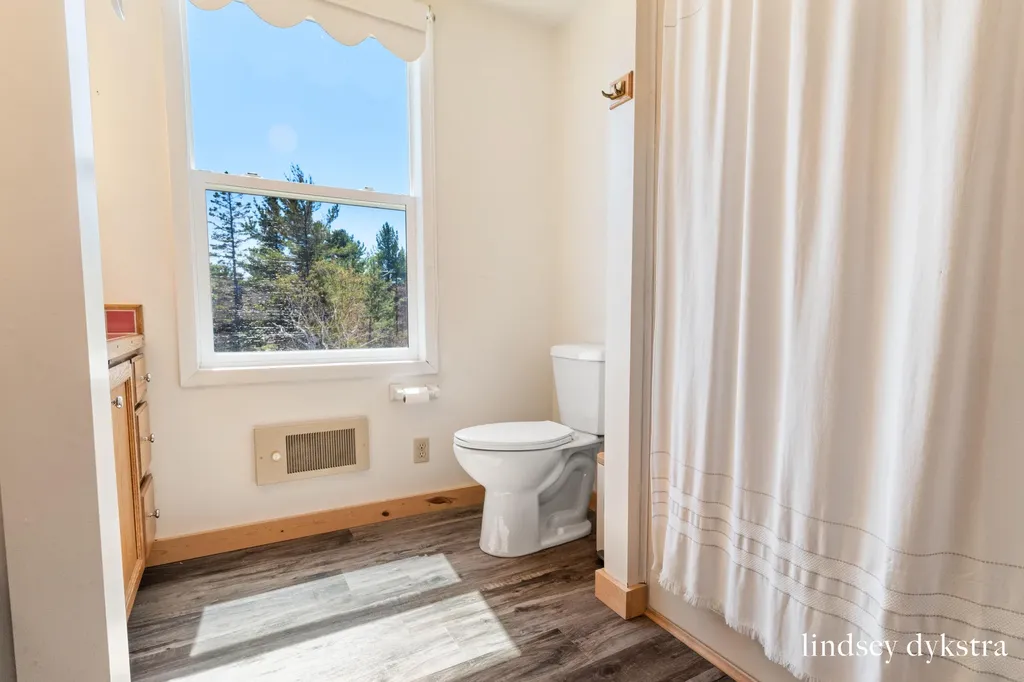 15718 N Blueberry Lane Whitefish Township MI 49768