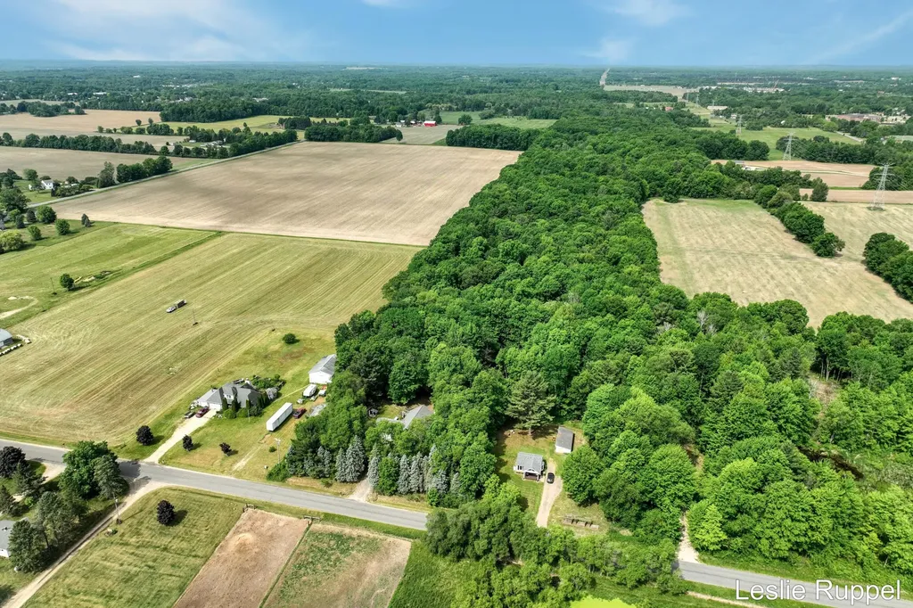 13015 Ritchie Avenue NE Courtland Township MI 49319