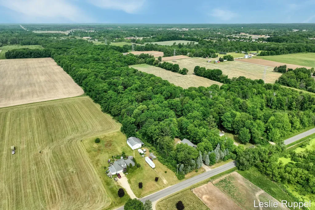 13015 Ritchie Avenue NE Courtland Township MI 49319