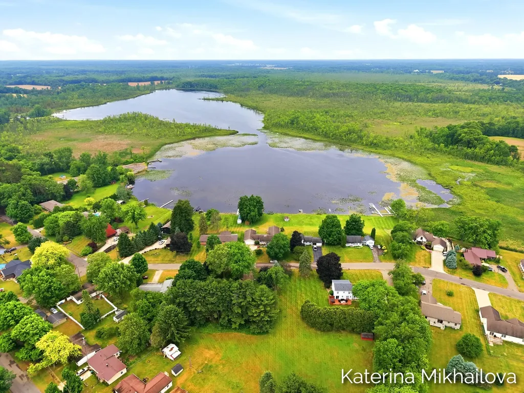 409 Grandview Avenue Homer Village MI 49245