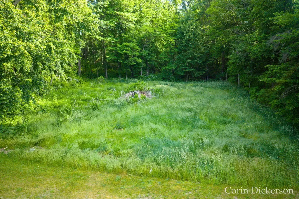 3661 110th Avenue Cheshire Township MI 49010