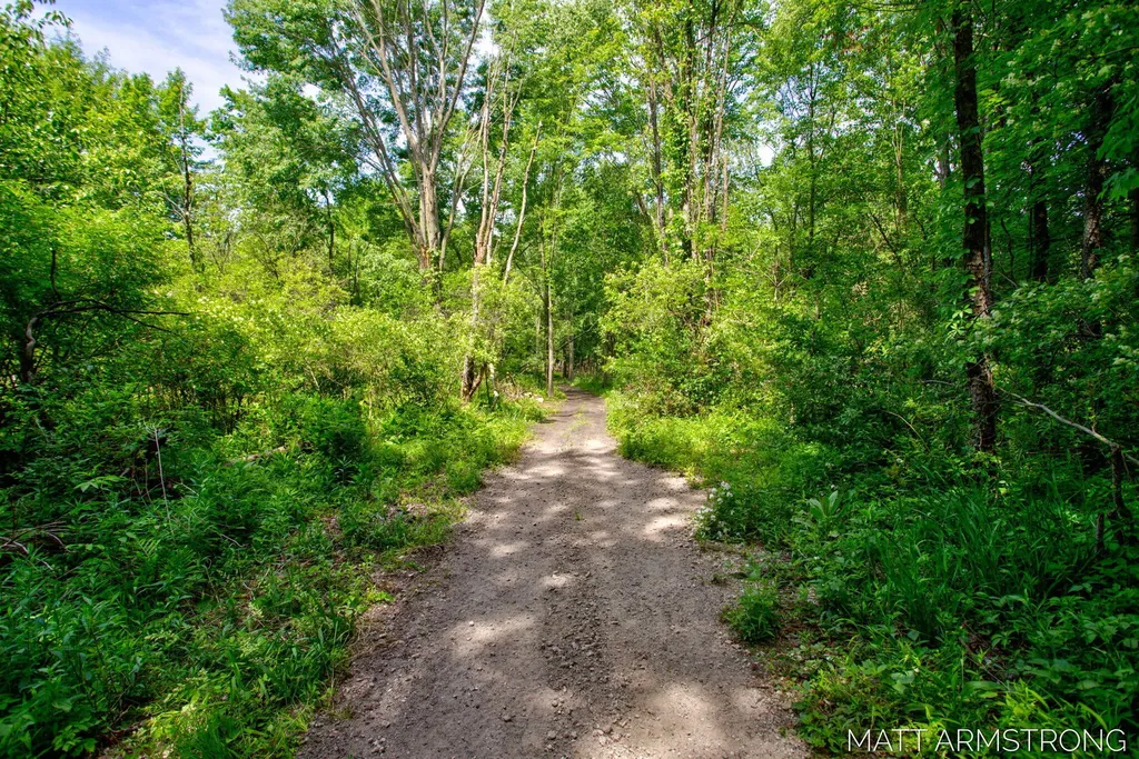 2135 Hilltop View Drive Dorr Township MI 49323
