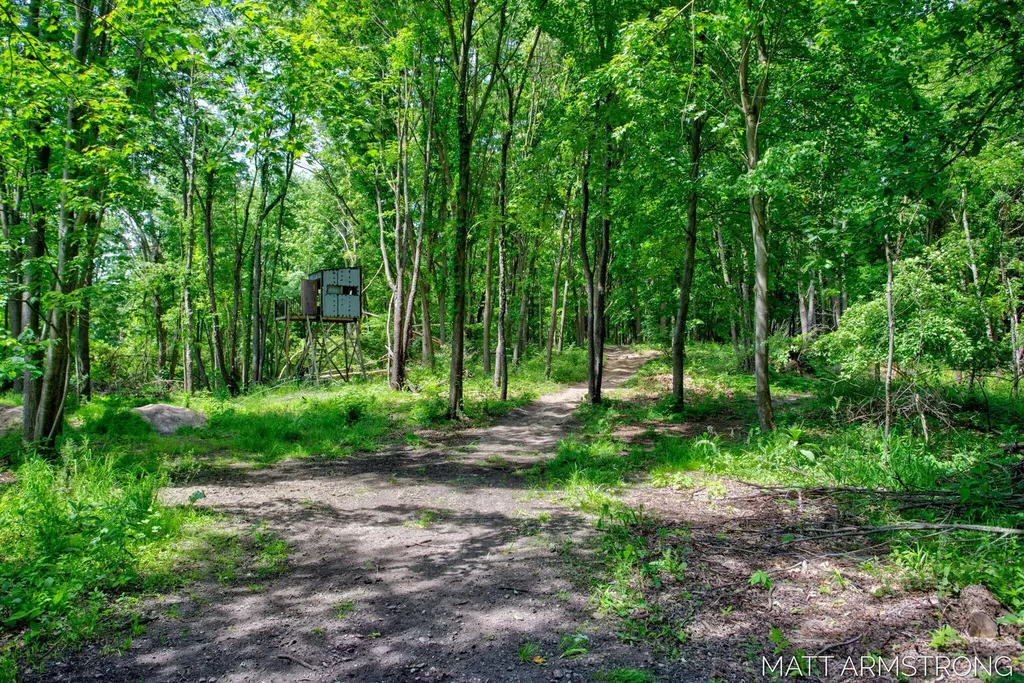 2135 Hilltop View Drive Dorr Township MI 49323