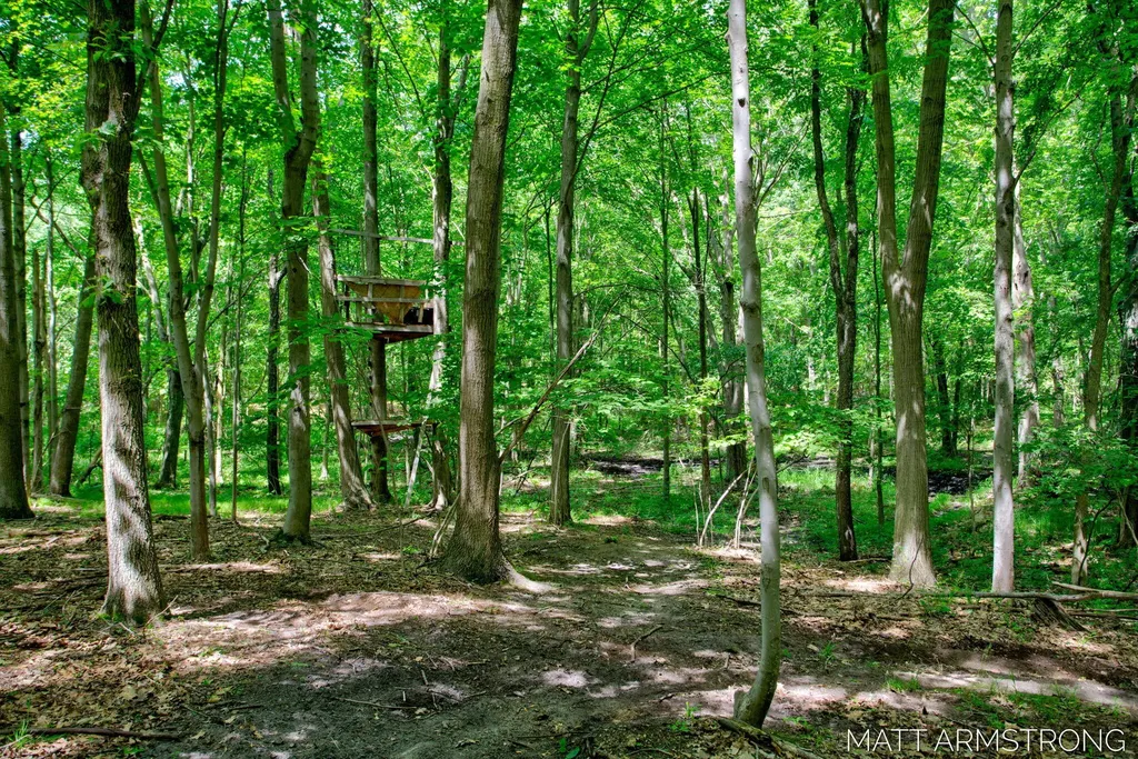 2135 Hilltop View Drive Dorr Township MI 49323