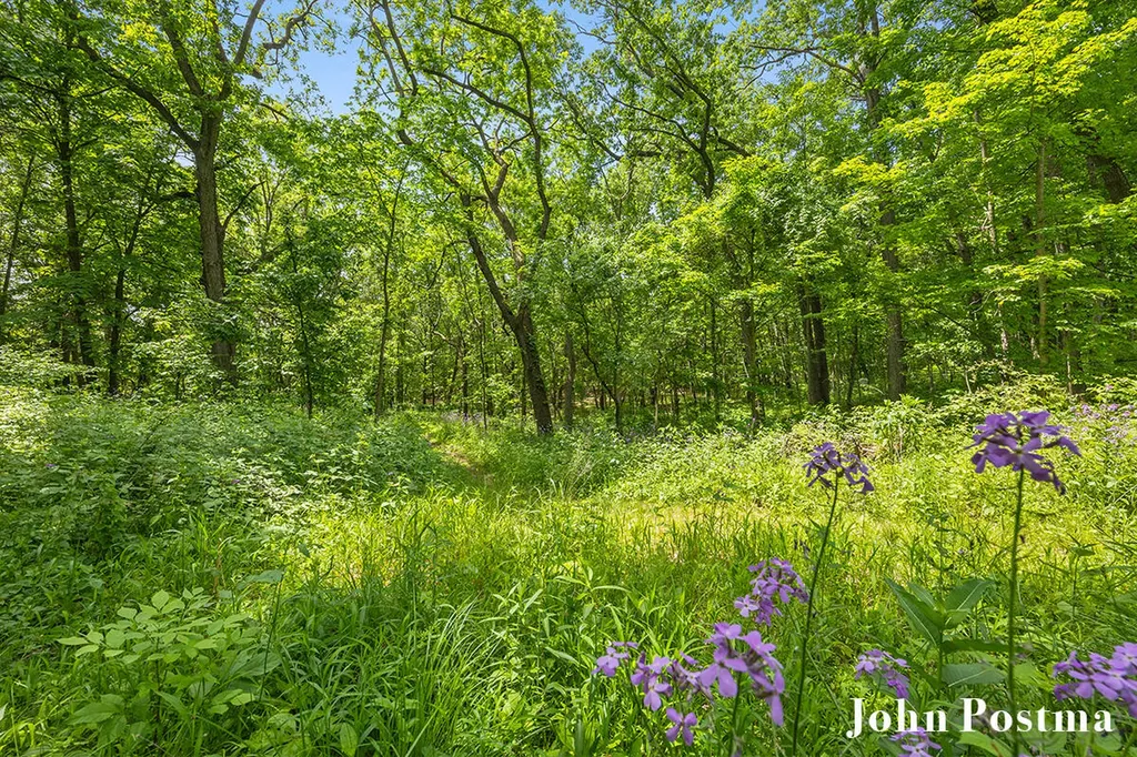 1565 Alden Nash Avenue NE Vergennes Township MI 49331