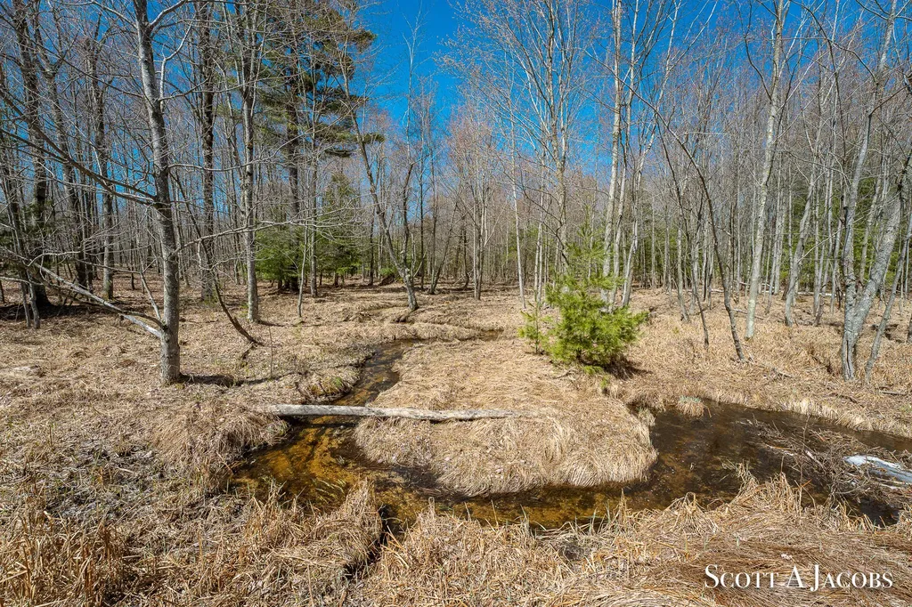 1125 Chaput Drive Orient Township MI 49679