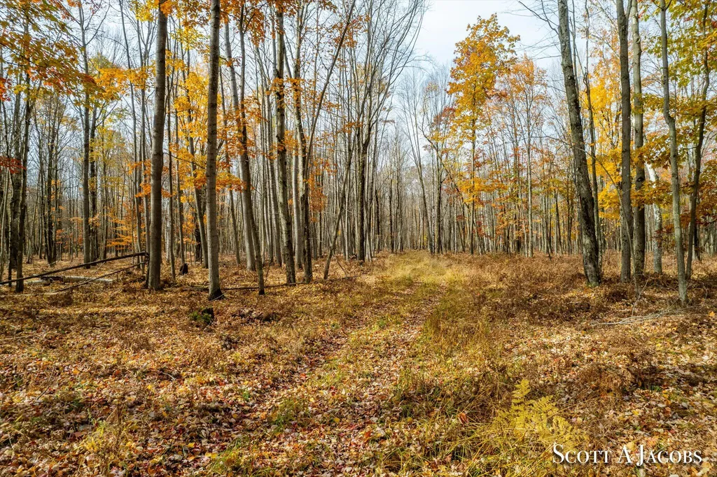 1125 Chaput Drive Orient Township MI 49679