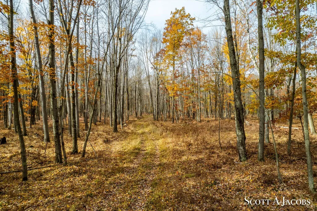 1125 Chaput Drive Orient Township MI 49679