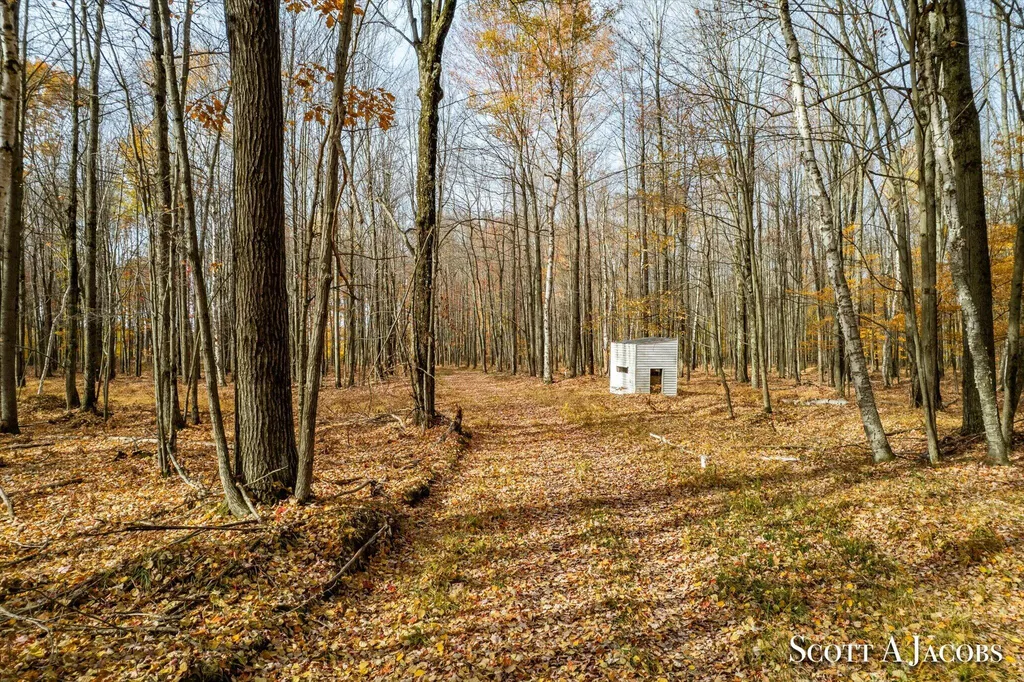 1125 Chaput Drive Orient Township MI 49679