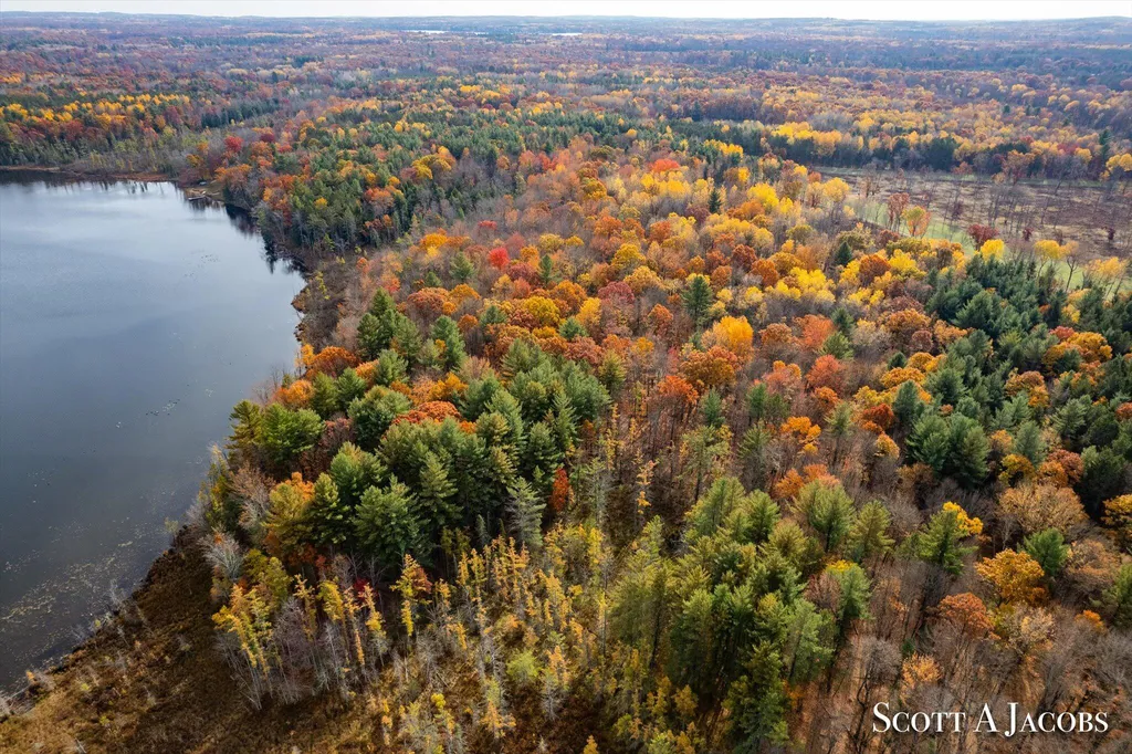 1125 Chaput Drive Orient Township MI 49679