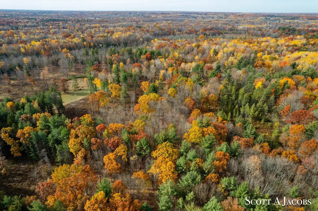 1125 Chaput Drive Orient Township MI 49679
