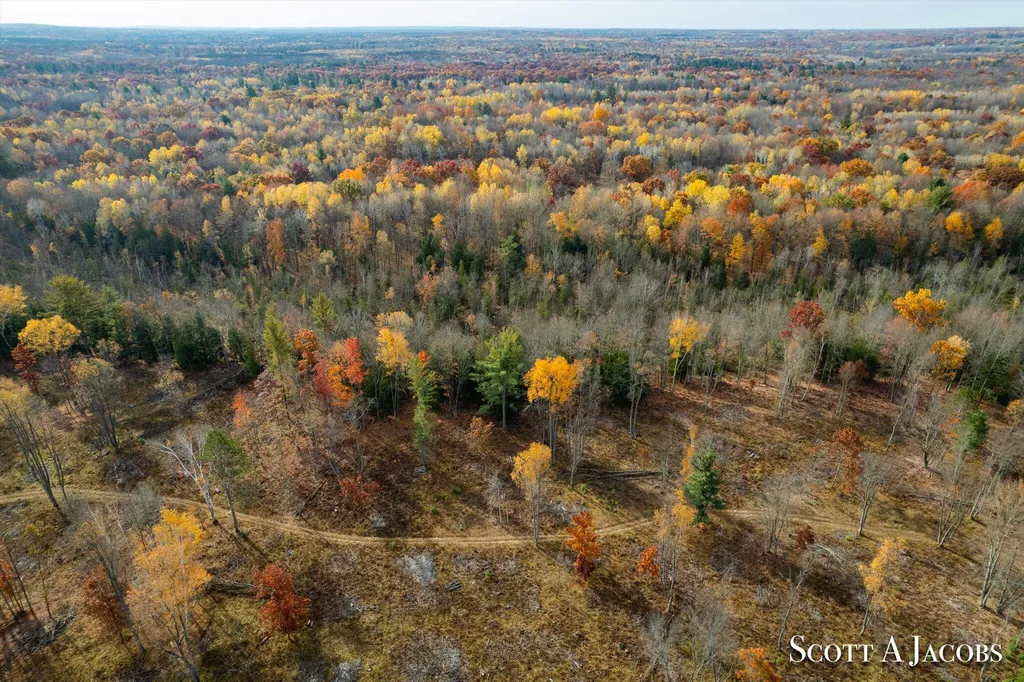 1125 Chaput Drive Orient Township MI 49679