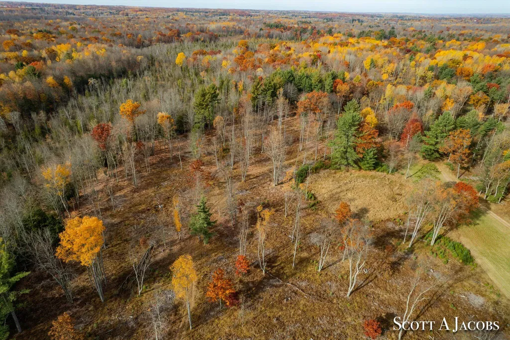 1125 Chaput Drive Orient Township MI 49679