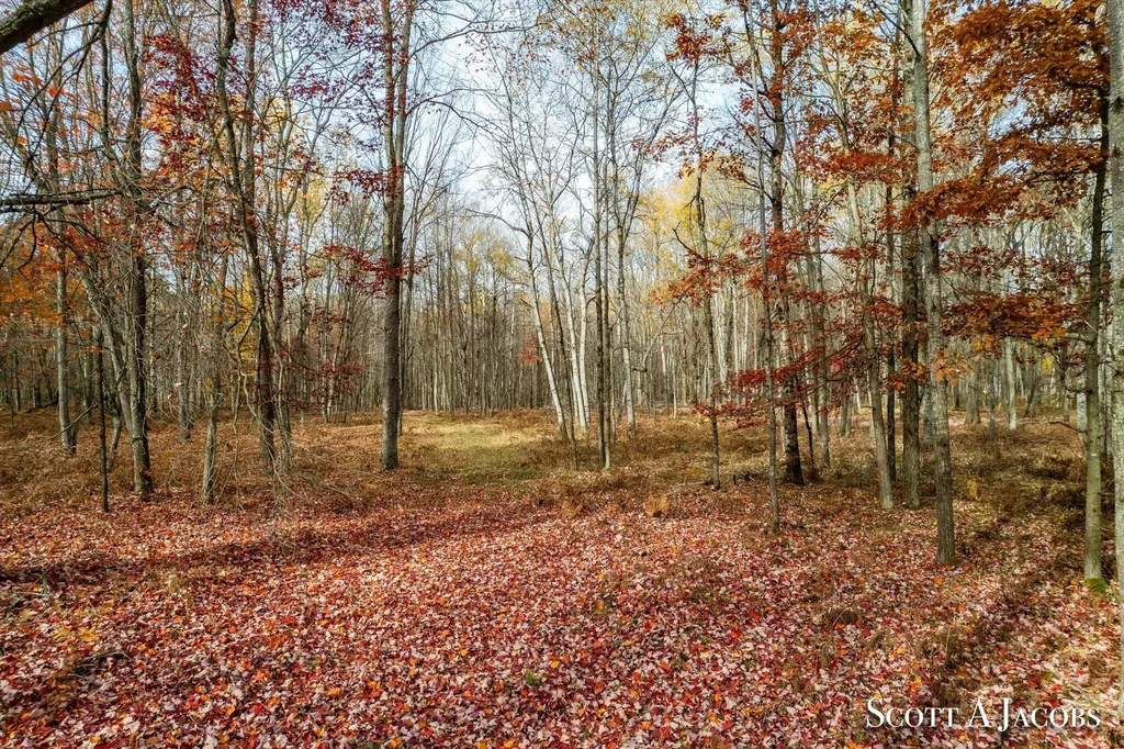1125 Chaput Drive Orient Township MI 49679