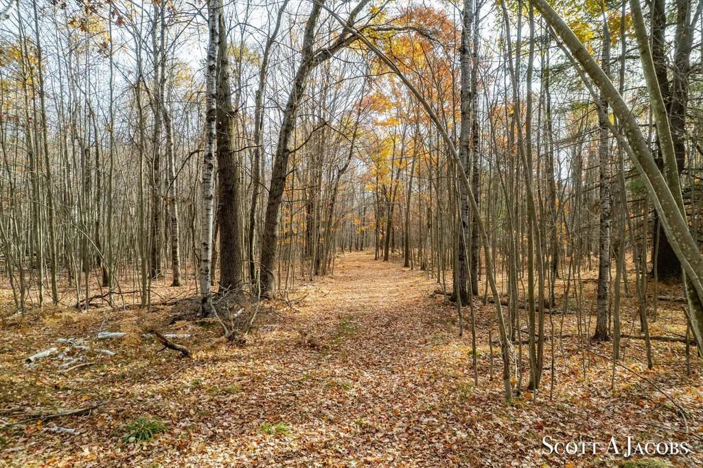 1125 Chaput Drive Orient Township MI 49679