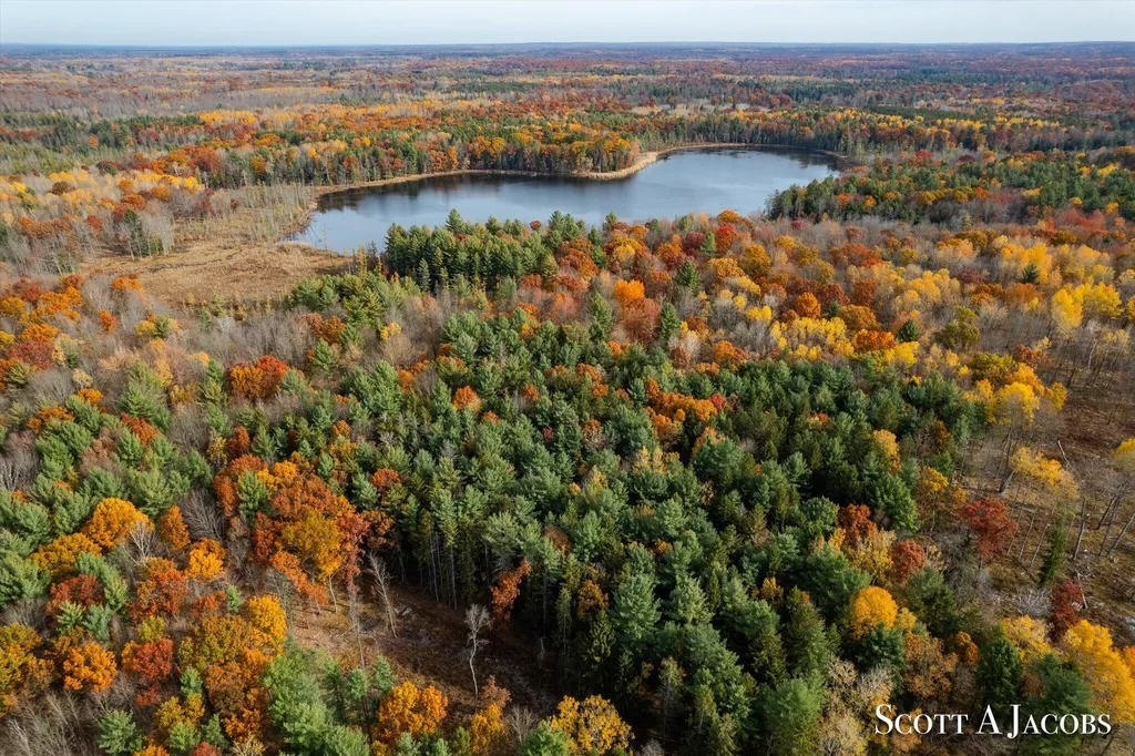 1125 Chaput Drive Orient Township MI 49679