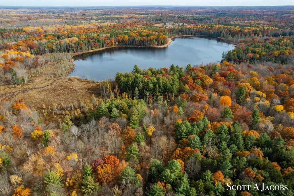 1125 Chaput Drive Orient Township MI 49679