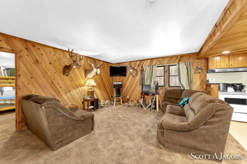 1125 Chaput Drive Orient Township MI 49679