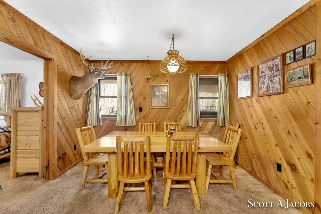 1125 Chaput Drive Orient Township MI 49679