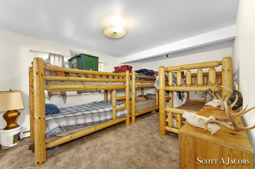 1125 Chaput Drive Orient Township MI 49679