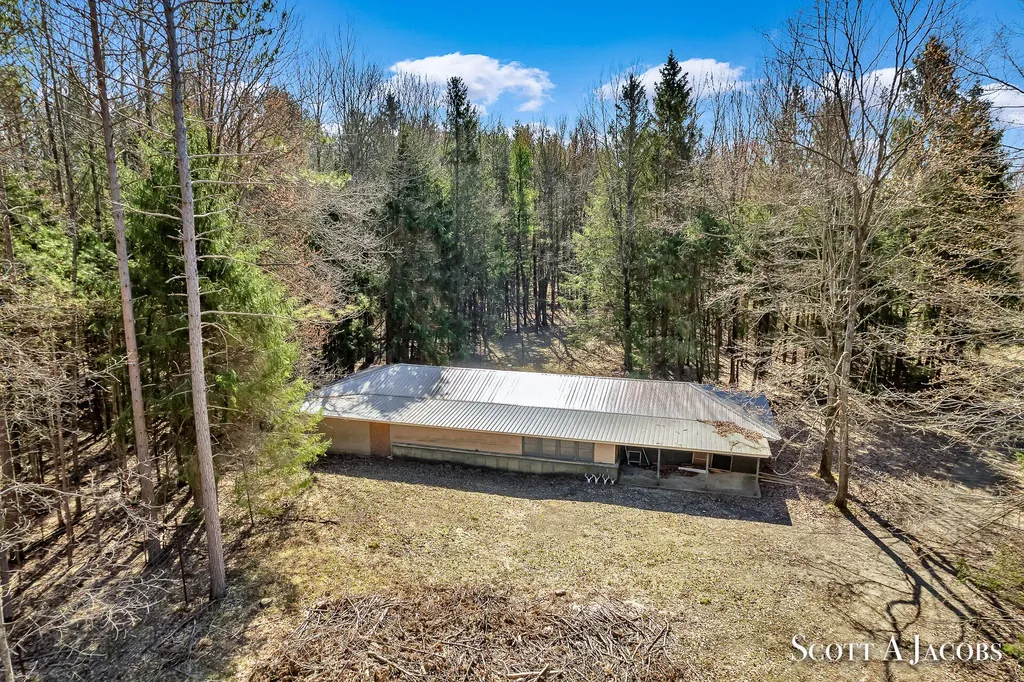 1125 Chaput Drive Orient Township MI 49679
