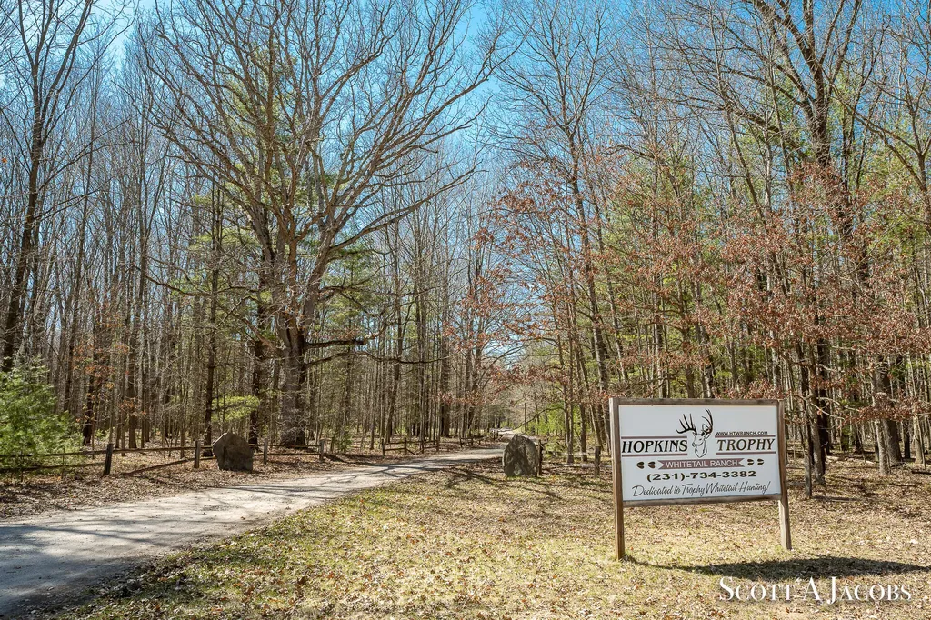 1125 Chaput Drive Orient Township MI 49679