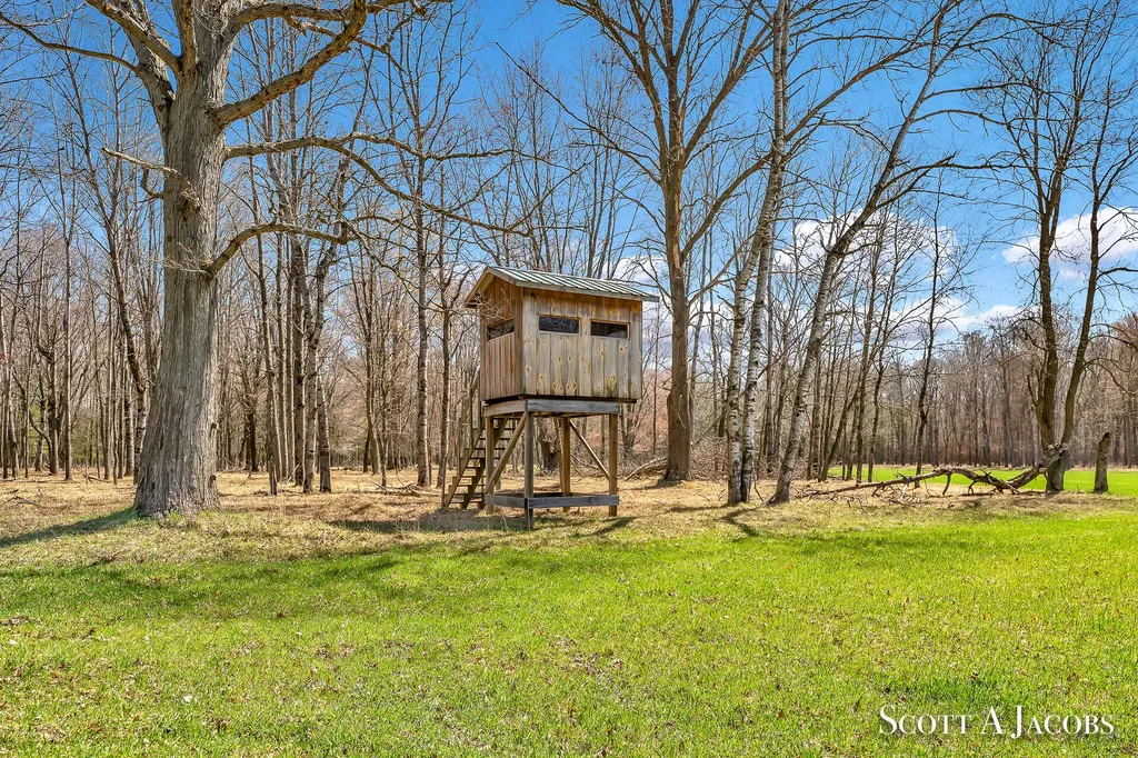 1125 Chaput Drive Orient Township MI 49679